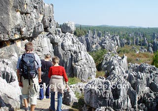 The Stone Forest is a wonder of the world.